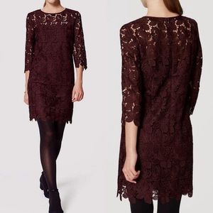 LOFT Burgundy Lace Dress